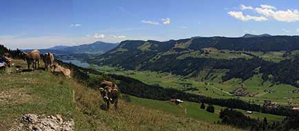 Panorama Alpenhauptkamm Allgäu - Blick von der Salmaser Höhe über das Konstanzer Tal auf den Prodelkamm