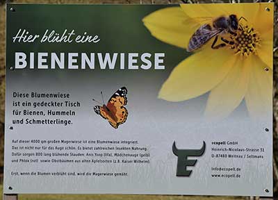 Die Bienenwiese in Weitnau ist eine Trockenwiese