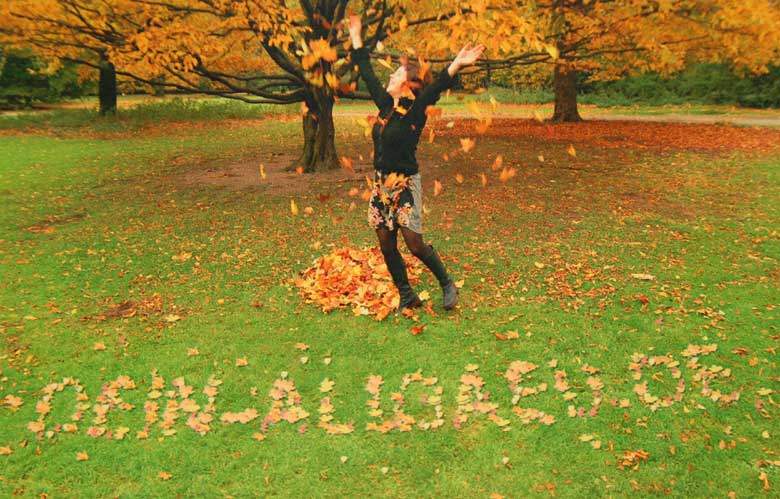 Oktober 2006 Kalenderblattt "dein allgäu" - Herbstblätter - die schönste Jahreszeit im Allgäu