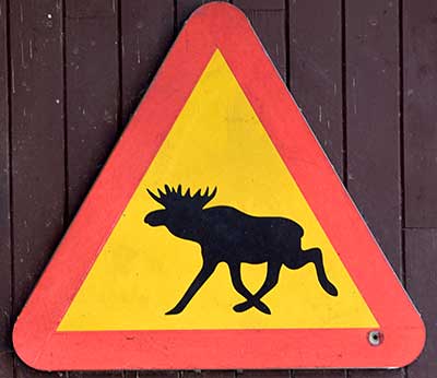 Verkehrszeichen "Achtug Elche" Schild kommt aus Finnland in Oberstaufen