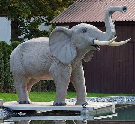 Dieser Elefant gibt dem Baden in Wangen den richtigen Kick - 2018