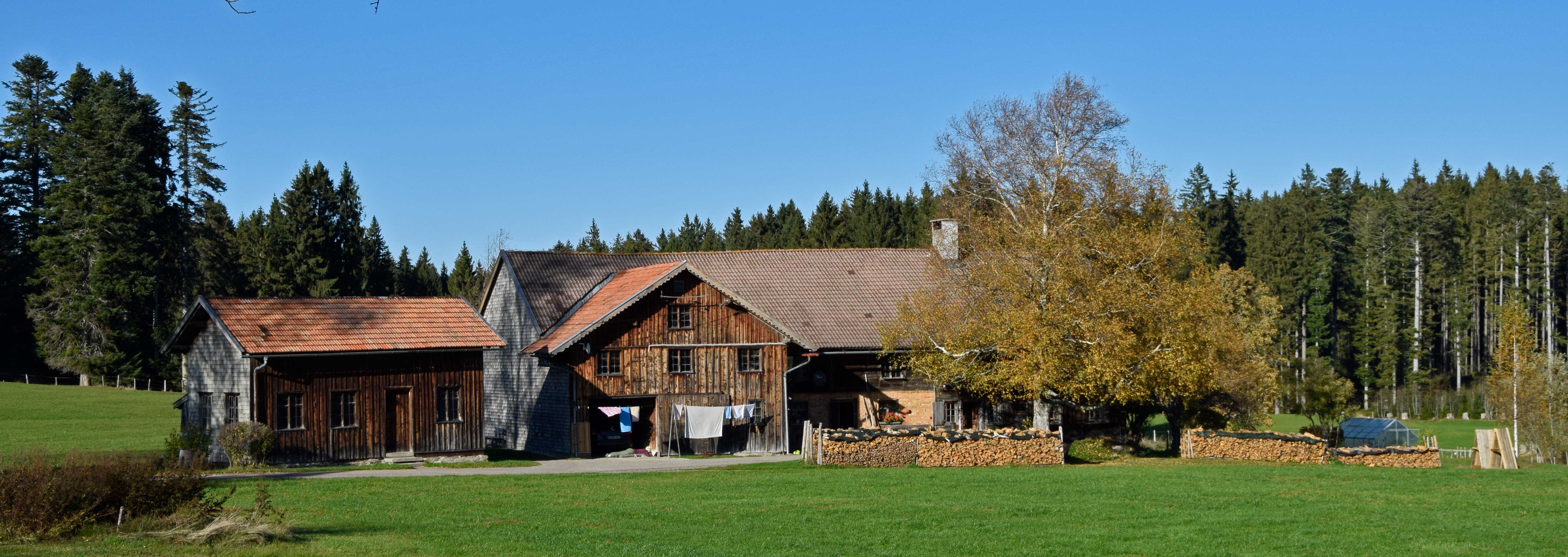 viel Holz vor der Hütte - besonders reichlich gibt es das im Allgäu