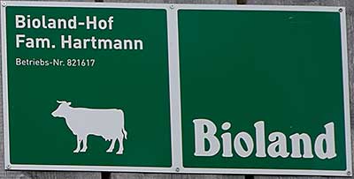 Jungensberg 2019 - Bioland Hof Fam. Hartmann in Stiefenhofen 2019