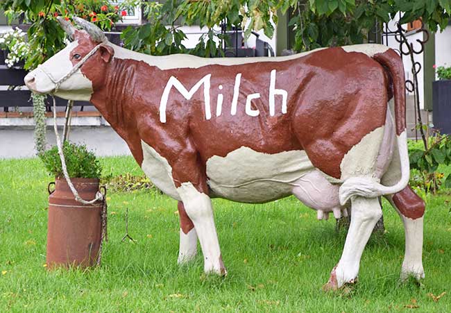Hier gibt es Milch - auf einem Bauernhof in Weißensberg Rothkreuz mit Ferienwohnungen 2019