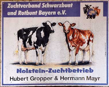Wolfertschwenden - Mitglied im Holstein Zuchtverband Schwarzbunt und Rotbund in Bayern
