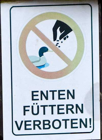 Wangen 2020 Weiher - Enten füttern verboten